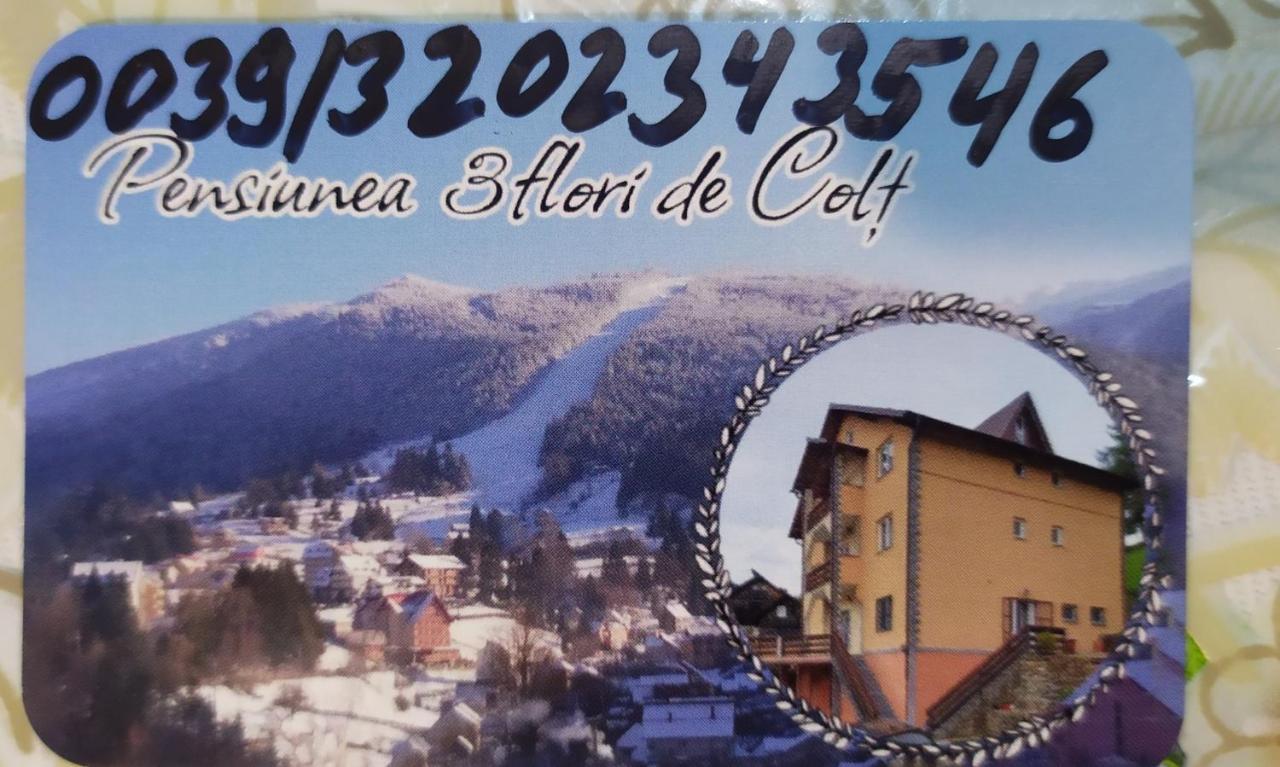 Statiunea Pensiunea 3Flori De Colt酒店 外观 照片