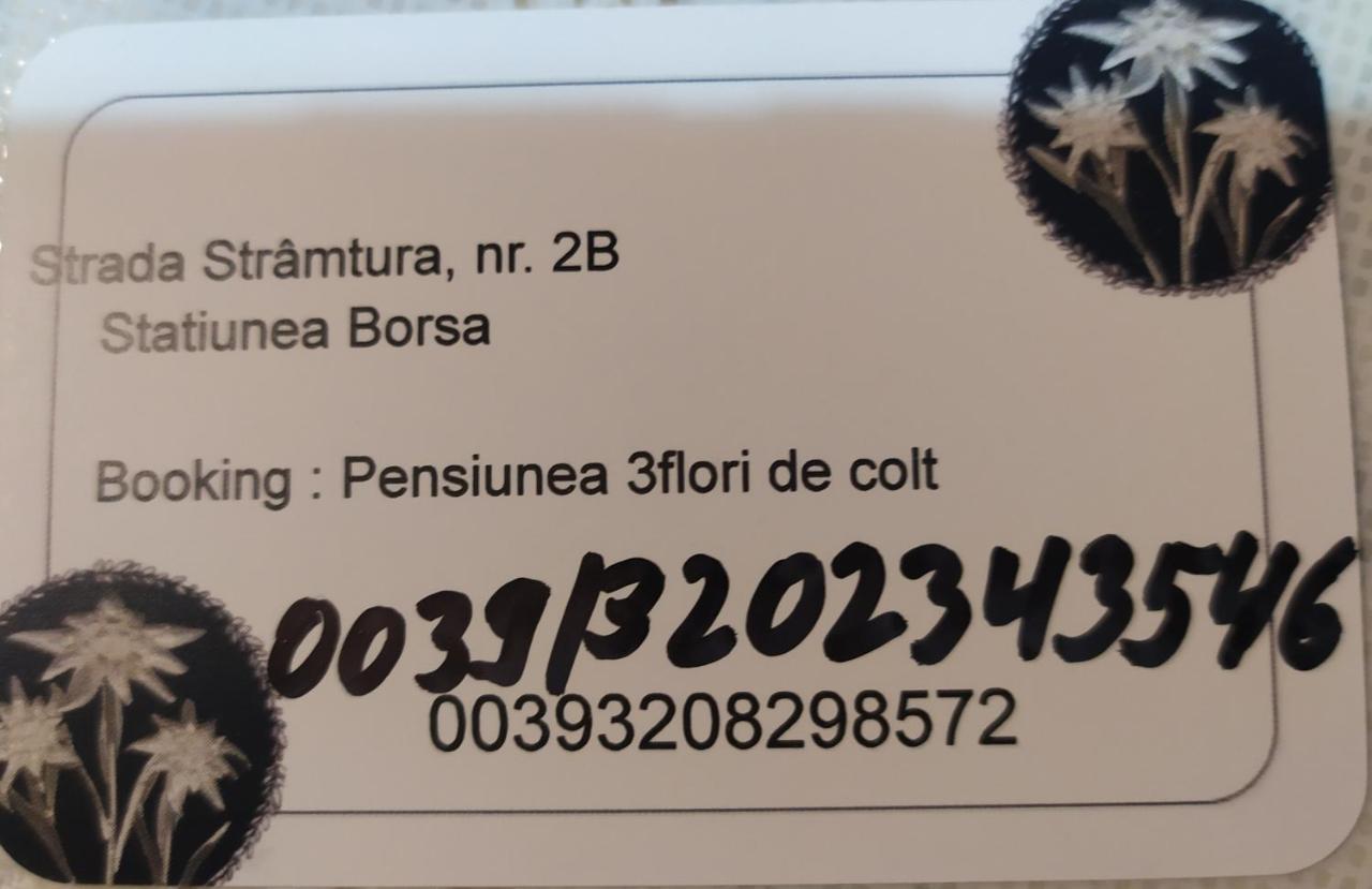 Statiunea Pensiunea 3Flori De Colt酒店 外观 照片